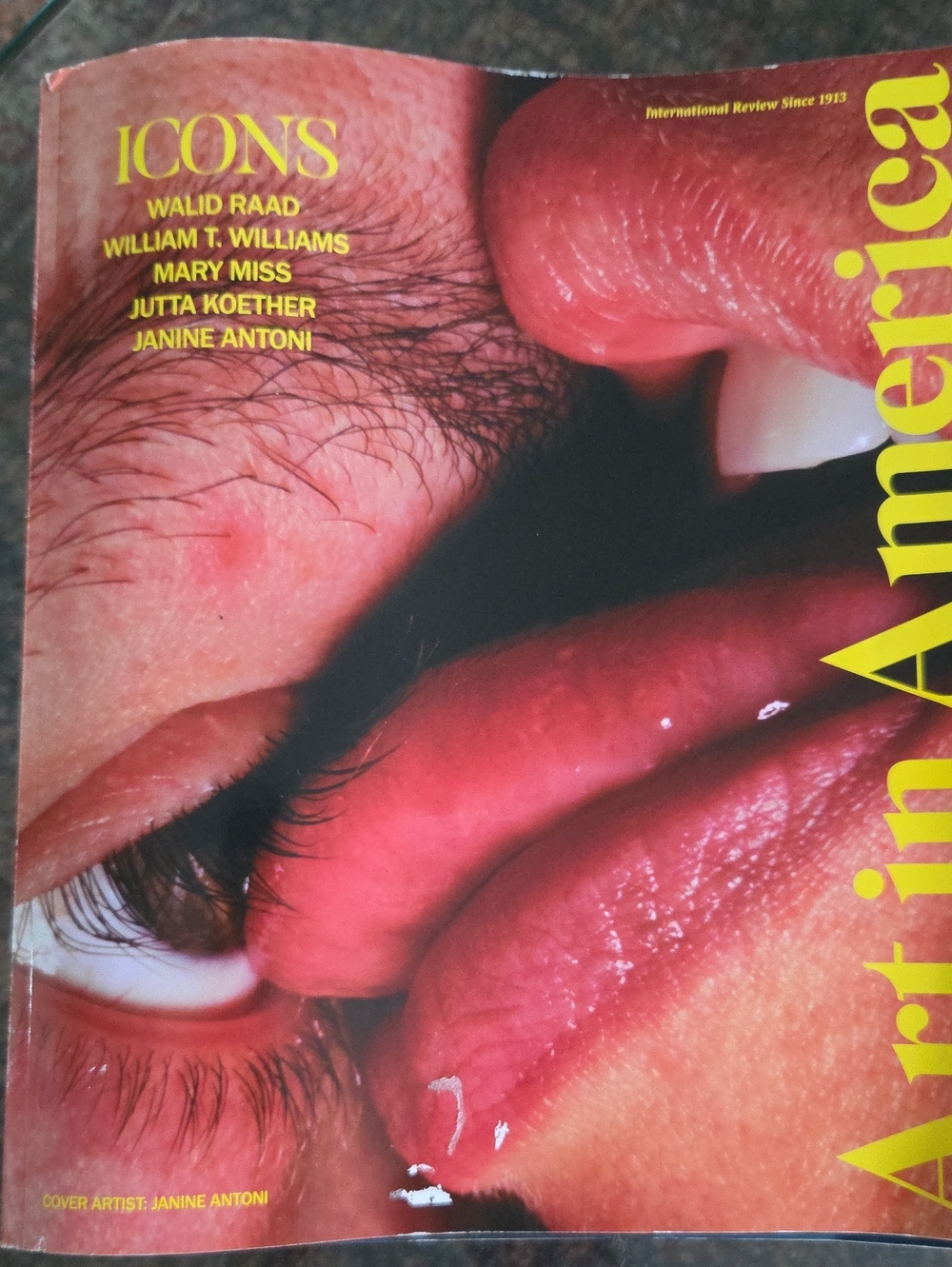 Art in America Magazine FALL 2026 issue